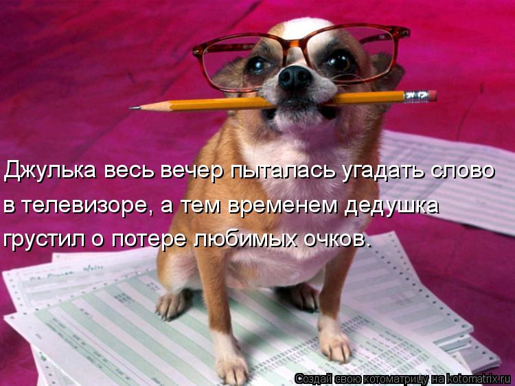 Джулька весь вечер пыталась угадать слово в телевизоре, а тем временем дедушка грустил о потере люби... Котоматрица: Джулька весь вечер пыталась угадать слово в телевизоре, а тем временем дедушка грустил о потере любимых очков.