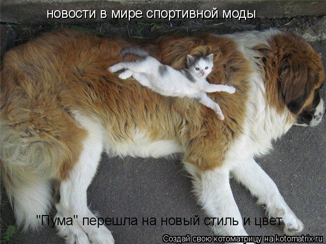 "Пума" перешла на новый стиль и цвет новости в мире спортивной моды... Котоматрица: "Пума" перешла на новый стиль и цвет новости в мире спортивной моды