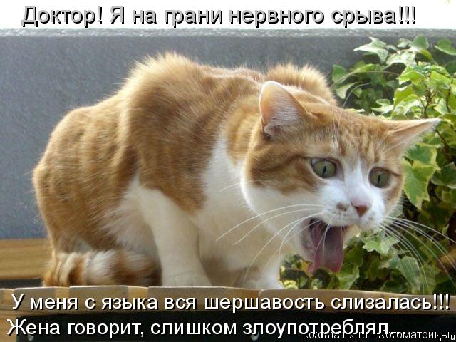 Жена говорит, слишком злоупотреблял... У меня с языка вся шершавость слизалась!!! Доктор! Я на грани ... Котоматрица: Жена говорит, слишком злоупотреблял... У меня с языка вся шершавость слизалась!!! Доктор! Я на грани нервного срыва!!!