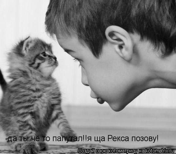 -да ты чё то папутал!!я ща Рекса позову!... Котоматрица: -да ты чё то папутал!!я ща Рекса позову!
