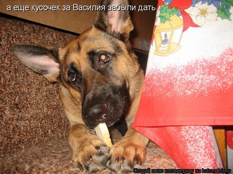 а еще кусочек за Василия забыли дать... Котоматрица: а еще кусочек за Василия забыли дать
