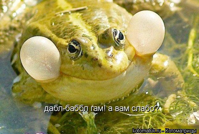 дабл-баббл гам! а вам слабо?... Котоматрица: дабл-баббл гам! а вам слабо?