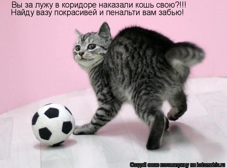 Вы за лужу в коридоре наказали кошь свою?!!! Найду вазу покрасивей и пенальти вам забью!... Котоматрица: Вы за лужу в коридоре наказали кошь свою?!!! Найду вазу покрасивей и пенальти вам забью!