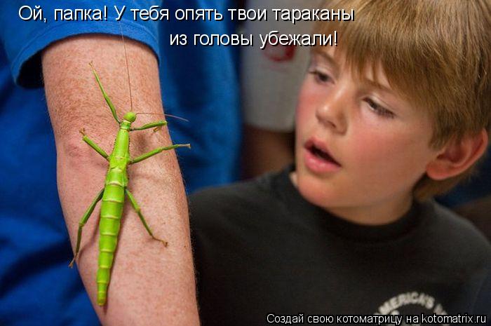 Ой, папка! У тебя опять твои тараканы из головы убежали!... Котоматрица: Ой, папка! У тебя опять твои тараканы из головы убежали!