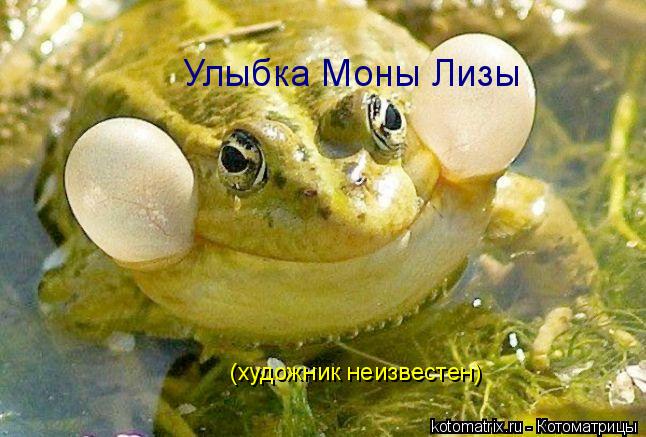 Улыбка Моны Лизы (художник неизвестен)... Котоматрица: Улыбка Моны Лизы (художник неизвестен)