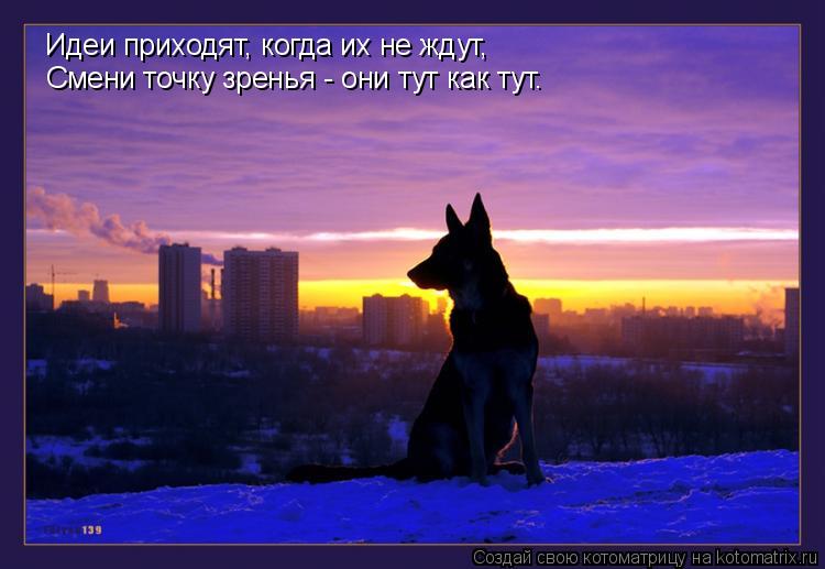 Идеи приходят, когда их не ждут, Смени точку зренья - они тут как тут.... Котоматрица: Идеи приходят, когда их не ждут, Смени точку зренья - они тут как тут.