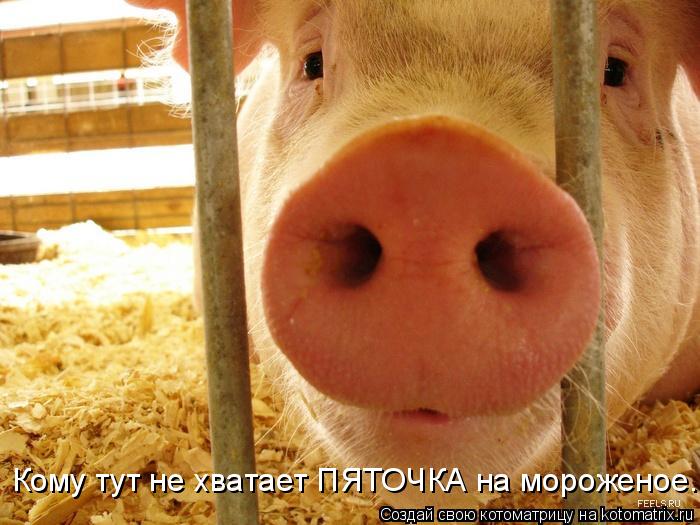 Кому тут не хватает ПЯТОЧКА на мороженое.... Котоматрица: Кому тут не хватает ПЯТОЧКА на мороженое.
