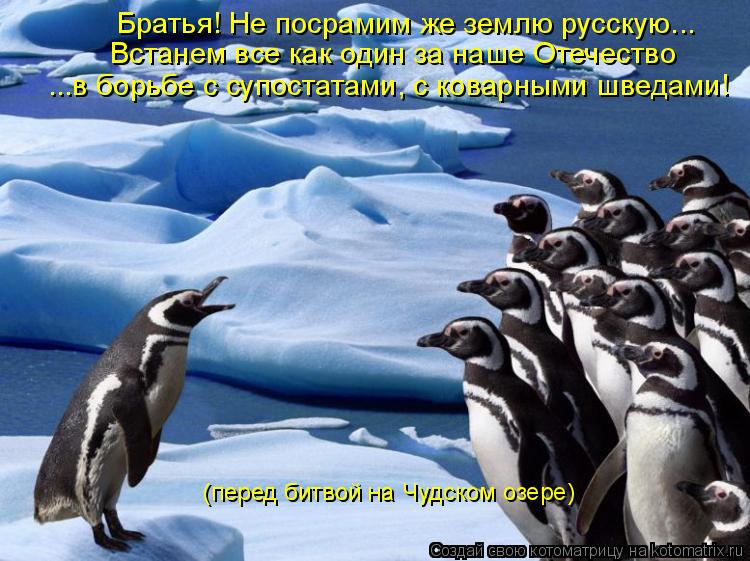 Братья! Не посрамим же землю русскую... Встанем все как один за наше Отечество ...в борьбе с супостат... Котоматрица: Братья! Не посрамим же землю русскую... Встанем все как один за наше Отечество ...в борьбе с супостатами, с коварными шведами! (перед битвой на