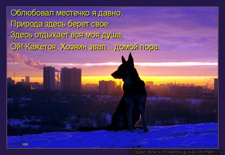 Котоматрица: Облюбовал местечко я давно, Природа здесь берет свое, Здесь отдыхает вся моя душа, Ой! Кажется, Хозяин звал... домой пора.