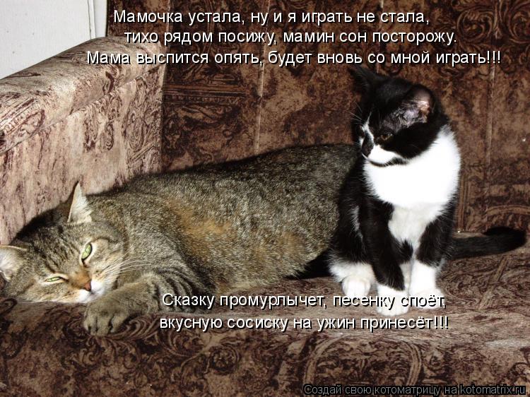 Мамочка устала, ну и я играть не стала, тихо рядом посижу, мамин сон посторожу. Мама выспится опять,... Котоматрица: Мамочка устала, ну и я играть не стала, тихо рядом посижу, мамин сон посторожу. Мама выспится опять, будет вновь со мной играть!!! Сказку пром