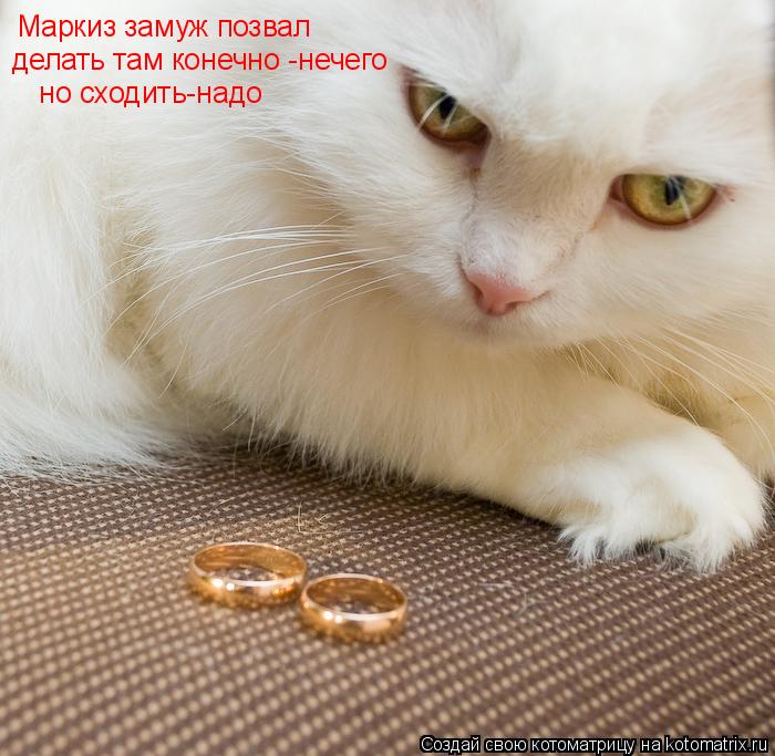 Маркиз замуж позвал делать там конечно -нечего но сходить-надо... Котоматрица: Маркиз замуж позвал делать там конечно -нечего но сходить-надо