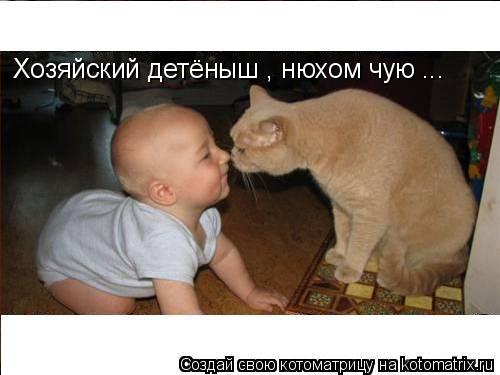 Хозяйский детёныш , нюхом чую ...... Котоматрица: Хозяйский детёныш , нюхом чую ...