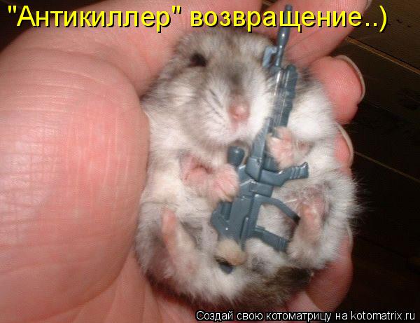 "Антикиллер" возвращение..)... Котоматрица: "Антикиллер" возвращение..)