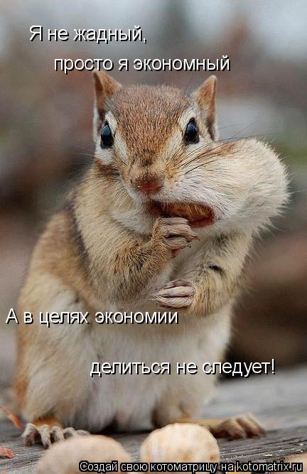 Я не жадный, просто я экономный А в целях экономии делиться не следует!... Котоматрица: Я не жадный, просто я экономный А в целях экономии делиться не следует!