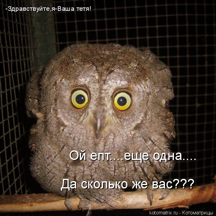 -Здравствуйте,я-Ваша тетя! Ой епт....еще одна.... Да сколько же вас???... Котоматрица: -Здравствуйте,я-Ваша тетя! Ой епт....еще одна.... Да сколько же вас???
