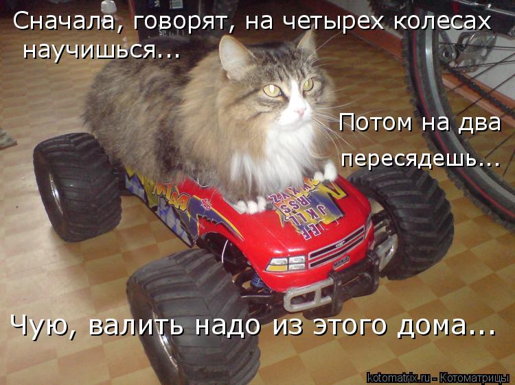Сначала, говорят, на четырех колесах научишься... Потом на два пересядешь... Чую, валить надо из этог... Котоматрица: Сначала, говорят, на четырех колесах научишься... Потом на два пересядешь... Чую, валить надо из этого дома...
