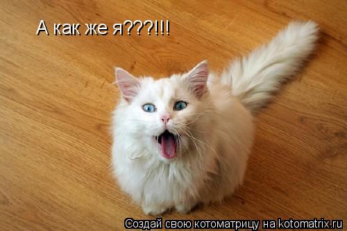 А как же я???!!!... Котоматрица: А как же я???!!!