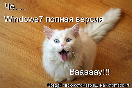 Чё..... Windows7 полная версия Вааааау!!!... Котоматрица: Чё..... Windows7 полная версия Вааааау!!!
