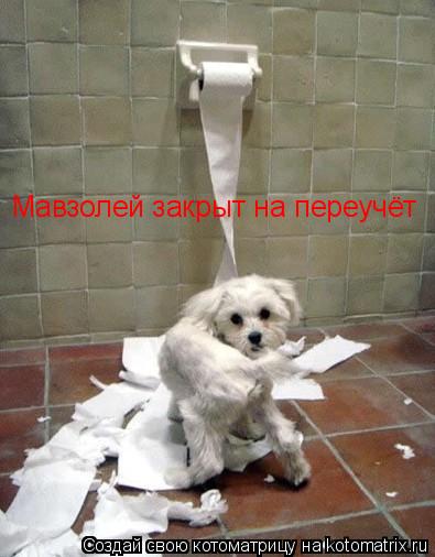 Мавзолей закрыт на переучёт... Котоматрица: Мавзолей закрыт на переучёт