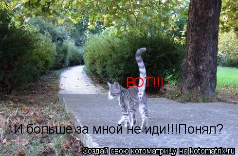 ВОТ!!! И больше за мной не иди!!!Понял?... Котоматрица: ВОТ!!! И больше за мной не иди!!!Понял?