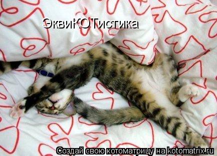 ЭквиКОТистика... Котоматрица: ЭквиКОТистика
