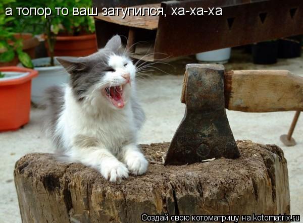 а топор то ваш затупился, ха-ха-ха... Котоматрица: а топор то ваш затупился, ха-ха-ха