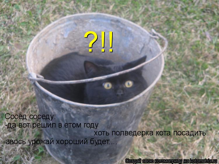 Котоматрица: Сосед соседу: -да вот решил в етом году  хоть полведерка кота посадить.. авось урожай хороший будет.... ?!!