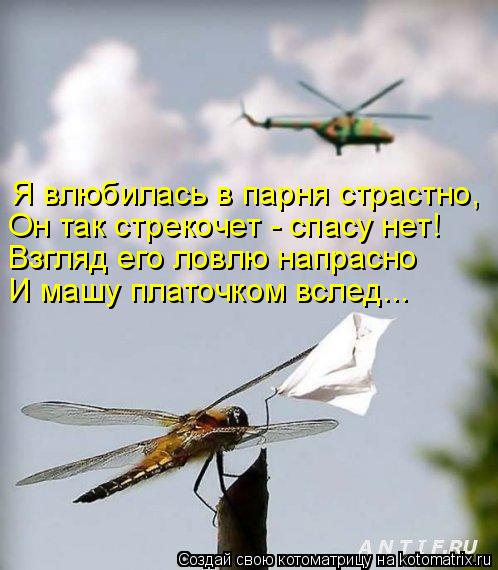 Я влюбилась в парня страстно, Он так стрекочет - спасу нет! Взгляд его ловлю напрасно И машу платочко... Котоматрица: Я влюбилась в парня страстно, Он так стрекочет - спасу нет! Взгляд его ловлю напрасно И машу платочком вслед...