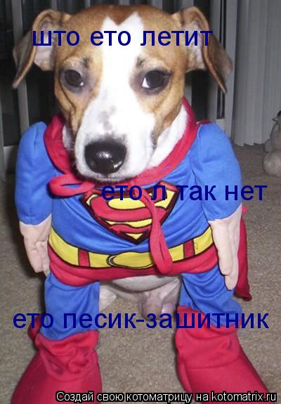 Котоматрица: што ето летит ето літак нет ето песик-зашитник