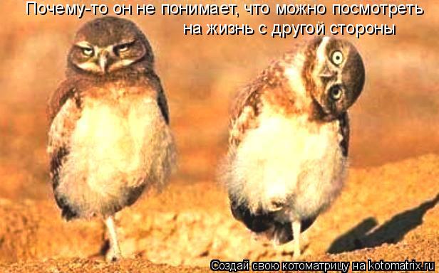 Котоматрица: Почему-то он не понимает, что можно посмотреть на жизнь с другой стороны