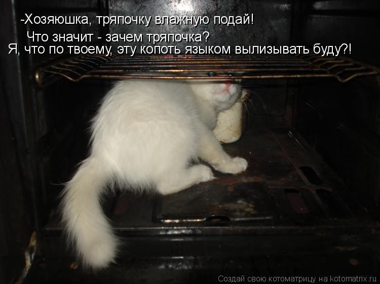 Что значит - зачем тряпочка? -Хозяюшка, тряпочку влажную подай! Я, что по твоему, эту копоть языком в... Котоматрица: Что значит - зачем тряпочка? -Хозяюшка, тряпочку влажную подай! Я, что по твоему, эту копоть языком вылизывать буду?!