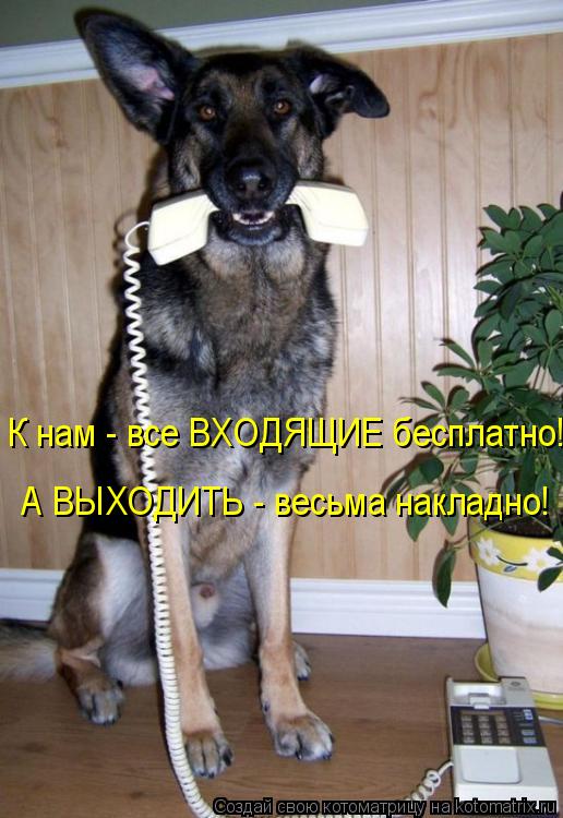 К нам - все ВХОДЯЩИЕ бесплатно! А ВЫХОДИТЬ - весьма накладно!... Котоматрица: К нам - все ВХОДЯЩИЕ бесплатно! А ВЫХОДИТЬ - весьма накладно!