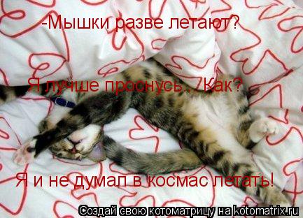 Котоматрица: -Мышки разве летают? Я и не думал в космас летать! Я лучше проснусь... Как?