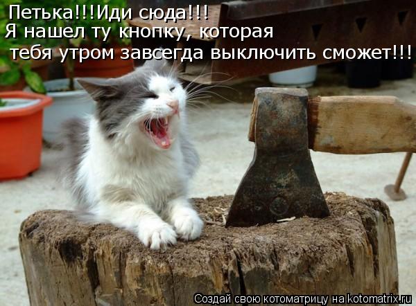 Петька!!!Иди сюда!!! тебя утром завсегда выключить сможет!!! Я нашел ту кнопку, которая... Котоматрица: Петька!!!Иди сюда!!! тебя утром завсегда выключить сможет!!! Я нашел ту кнопку, которая