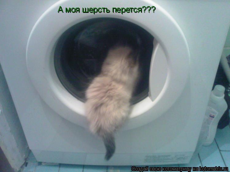 Котоматрица: А моя шерсть перется???