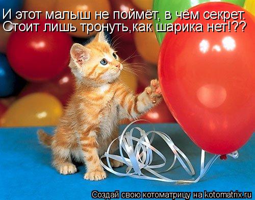 Котоматрица: И этот малыш не поймёт, в чём секрет. Стоит лишь тронуть... Стоит лишь тронуть,как шарика нет!??