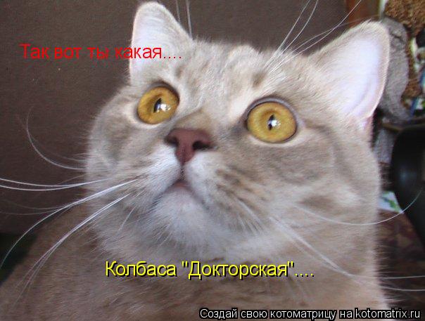 Котоматрица: Так вот ты какая.... Колбаса "Докторская"....