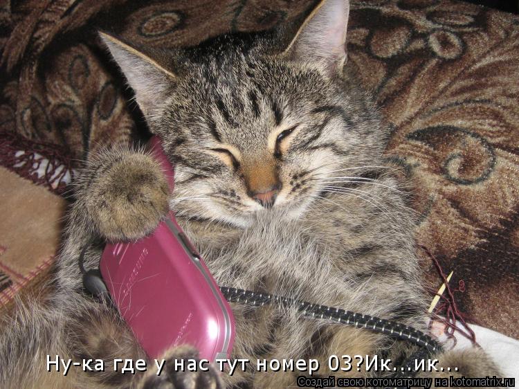 Котоматрица: Ну-ка где у нас тут номер 03?Ик...ик...
