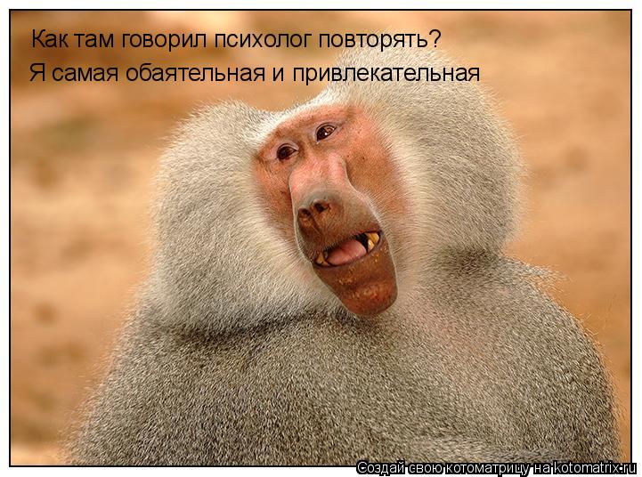 Котоматрица: Как там говорил психолог повторять? Я самая обаятельная и привлекательная