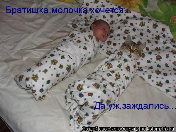 Котоматрица: Братишка,молочка хочется... Да уж,заждались...