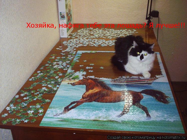 Котоматрица: Хозяйка, нафига тебе эта лошадь? Я лучше!!!