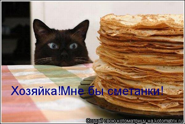 Котоматрица: Хозяйка!Мне бы сметанки!