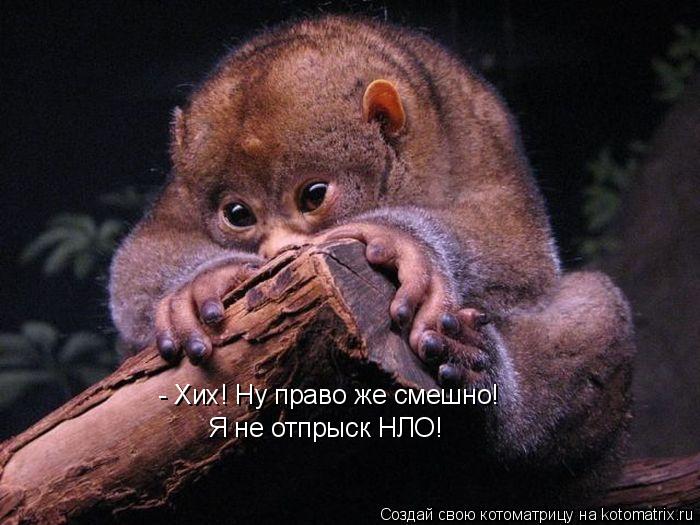 Котоматрица: - Хих! Ну право же смешно! Я не отпрыск НЛО!