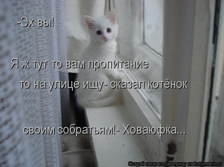 Котоматрица: -Эх вы! Я ж тут то вам пропитание  то на улице ищу- сказал котёнок  своим собратьям!- Ховаюфка...