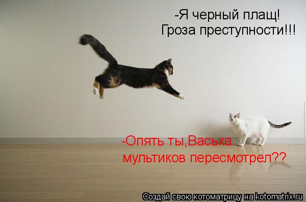 Котоматрица: -Я черный плащ! Гроза преступности!!! -Опять ты,Васька  мультиков пересмотрел??