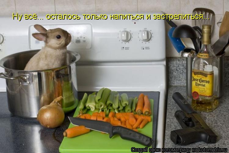 Котоматрица: Ну всё... осталось только напиться и застрелиться...