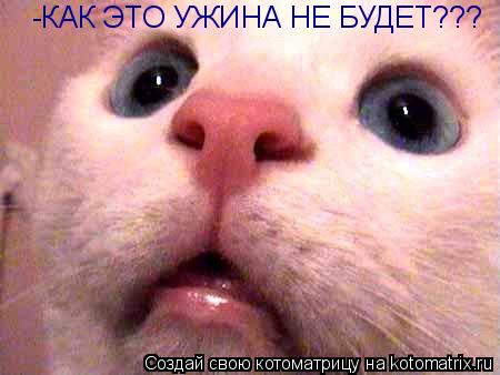 Котоматрица: -КАК ЭТО УЖИНА НЕ БУДЕТ???