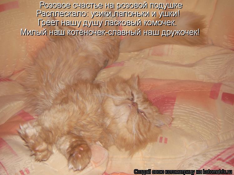 Котоматрица: Розовое счастье на розовой подушке  Греет нашу душу ласковый комочек. Милый наш котёночек-славный наш дружочек! Расплескало: усики,лапоньк