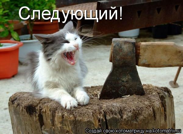 Следующий!... Котоматрица: Следующий!