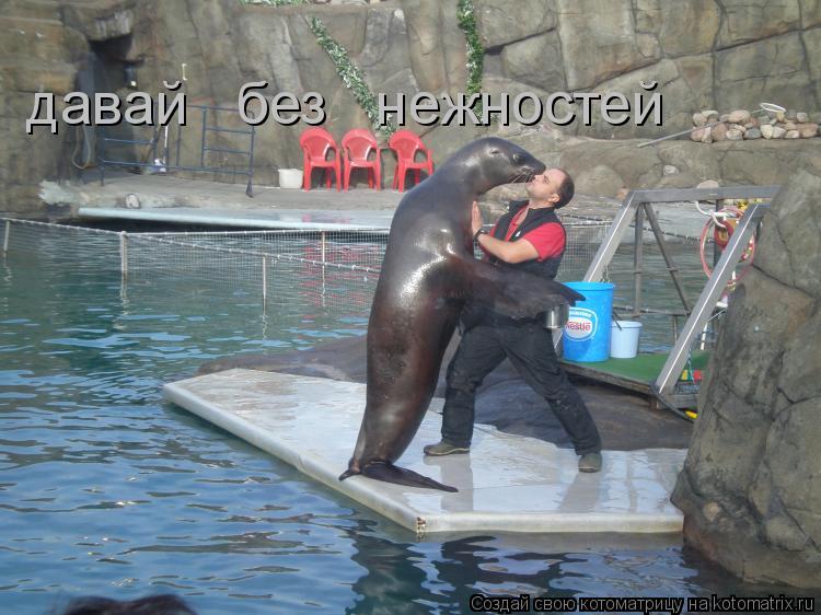 давай без нежностей... Котоматрица: давай без нежностей